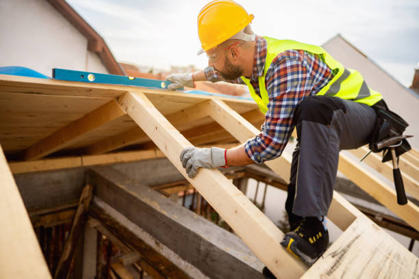 Roof Gutter Cleaning in Perryville, MD