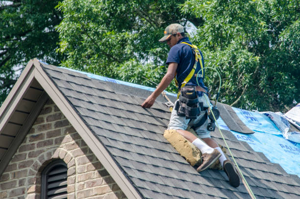 Best Shingle Roofing Installation  in Perryville, MD